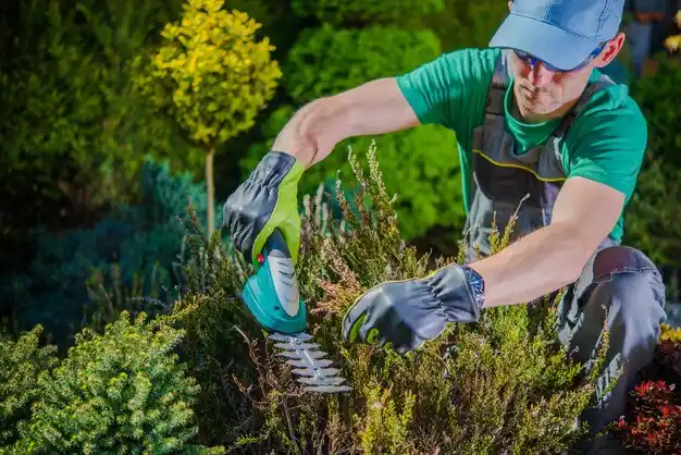 landscaping services Phoenix